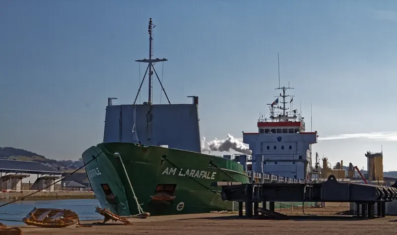 AM LARAFALE General Cargo IMO 9173226 photo 4