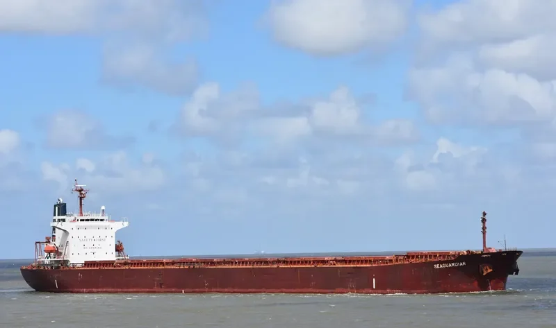 SEAGUARDIAN Bulk Carrier IMO 9174268