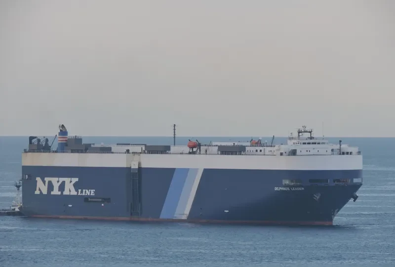 DELPHINUS LEADER General Cargo IMO 9174282 photo 4
