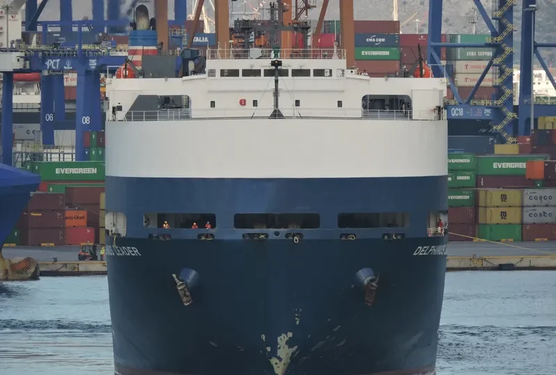 DELPHINUS LEADER General Cargo IMO 9174282 photo 7