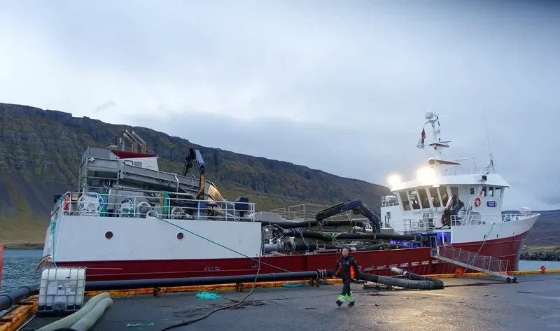 VIKING SAGA General Cargo IMO 9174476