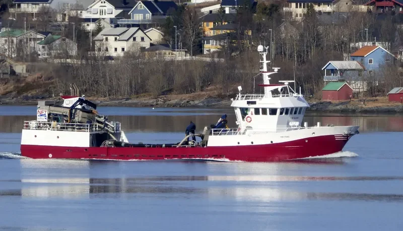 VIKING SAGA General Cargo IMO 9174476 photo 7