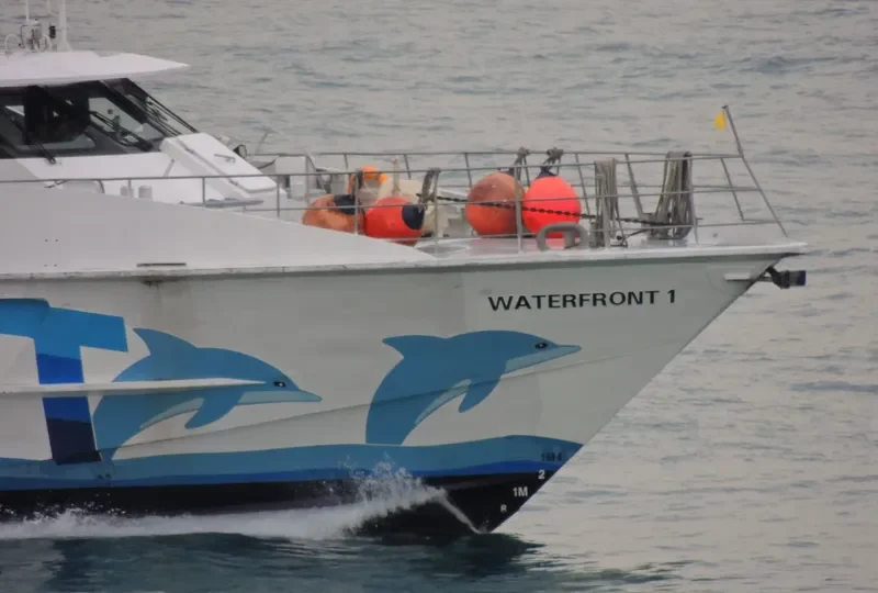 WATERFRONT1 Passenger Ship IMO 9174517 photo 4