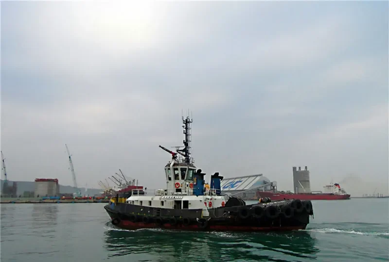 SING YANG General Cargo IMO 9174593 photo 3