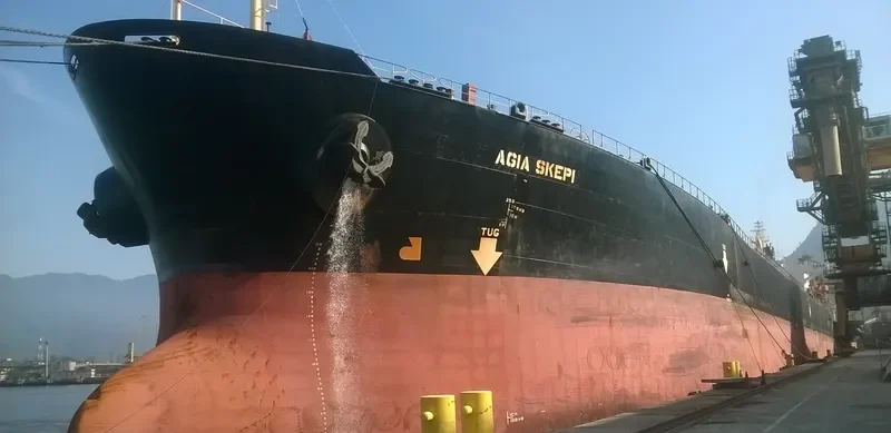 AGIA SKEPI Bulk Carrier IMO 9174634