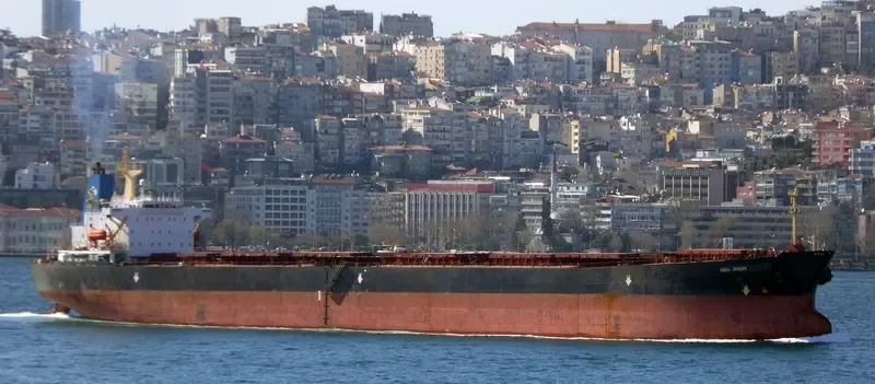 AGIA SKEPI Bulk Carrier IMO 9174634 photo 9