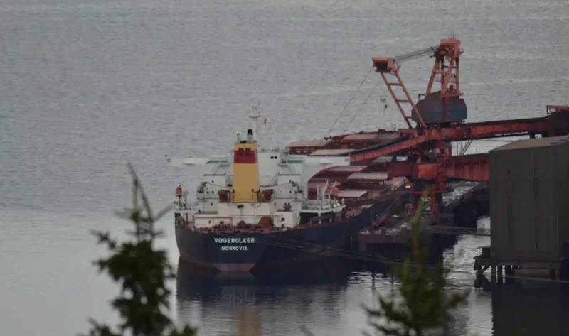 JENS WARRIOR Bulk Carrier IMO 9174658 photo 6