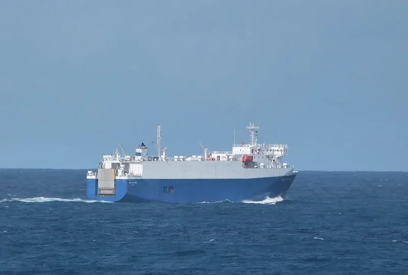 ORCHID General Cargo IMO 9174763
