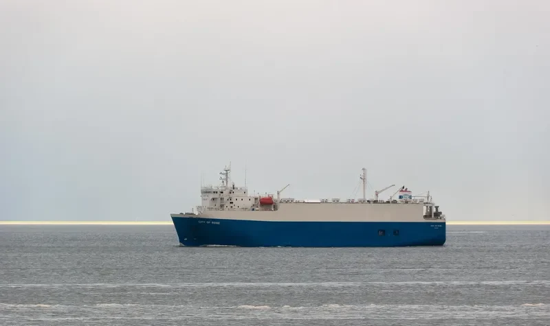 ORCHID General Cargo IMO 9174763 photo 2