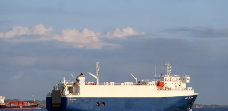 ORCHID General Cargo IMO 9174763 photo 4