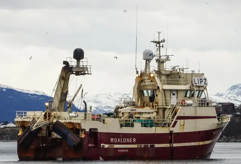 ROALDNES General Cargo IMO 9175030 photo 3