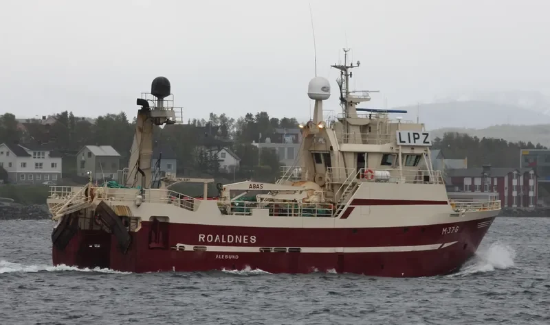 ROALDNES General Cargo IMO 9175030 photo 7