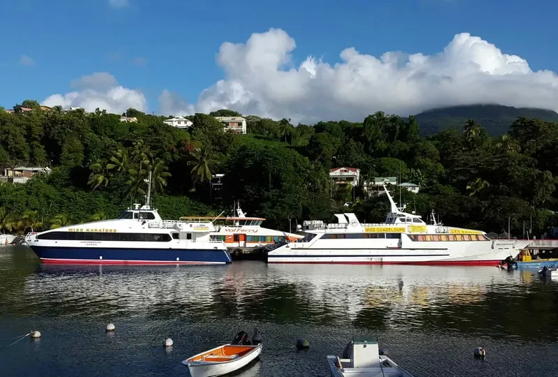 MISS KARAIBES Passenger Ship IMO 9175121 photo 7