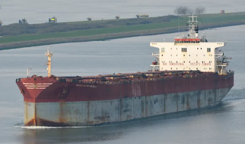 DONG JIANG XIANG Bulk Carrier IMO 9175315 photo 4