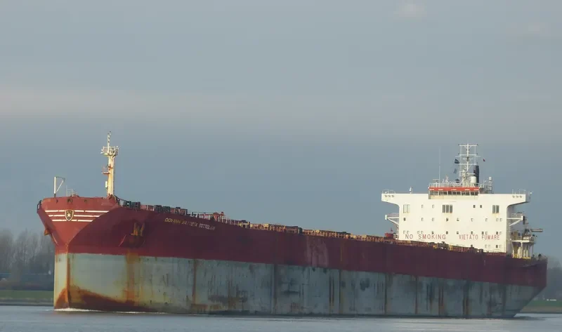 DONG JIANG XIANG Bulk Carrier IMO 9175315 photo 6