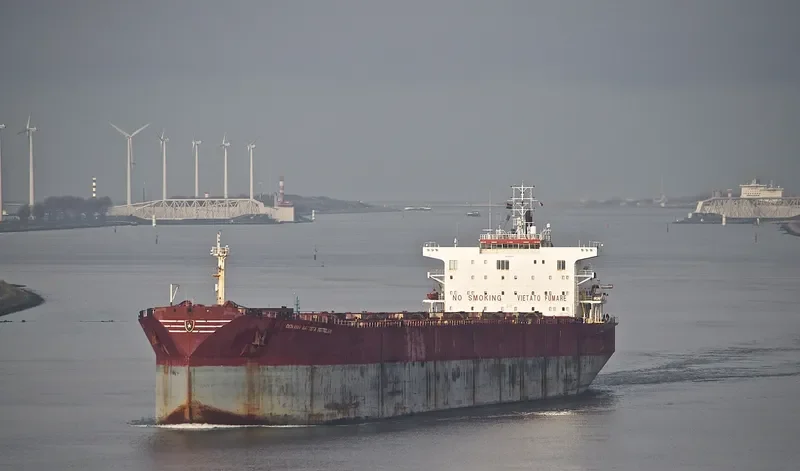 DONG JIANG XIANG Bulk Carrier IMO 9175315 photo 7