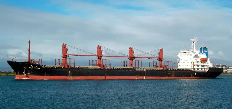 PANOS CREATION Bulk Carrier IMO 9175456 photo 7