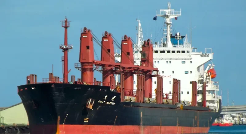 PANOS CREATION Bulk Carrier IMO 9175456 photo 8