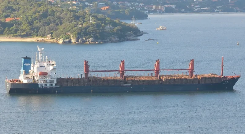 GREAT MOTION B Bulk Carrier IMO 9175468