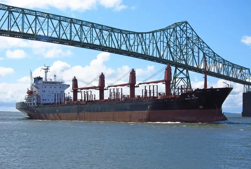 GREAT MOTION B Bulk Carrier IMO 9175468 photo 2