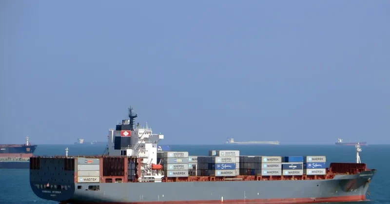 HAMMONIA INTERNUM Container Ship IMO 9175975