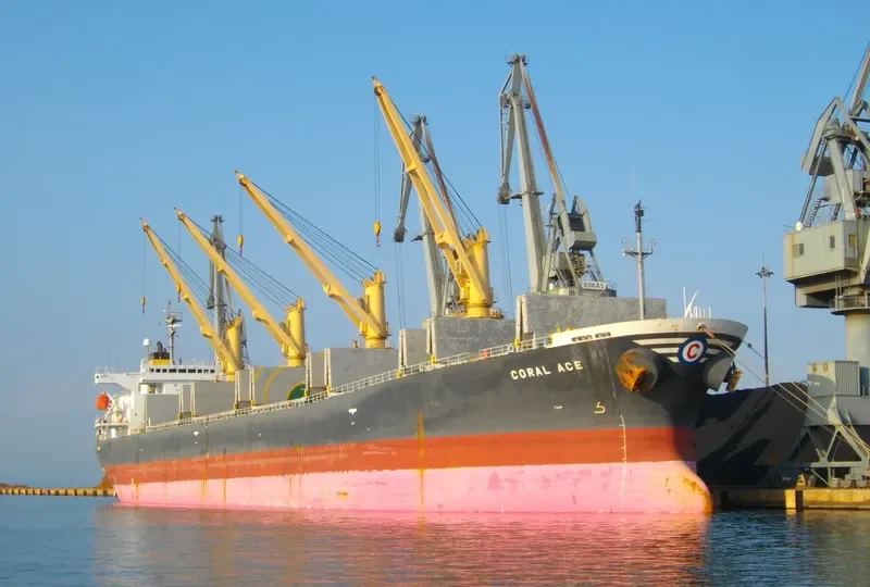 CORAL ACE Bulk Carrier IMO 9176266 photo 2