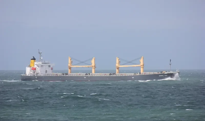 CORAL ACE Bulk Carrier IMO 9176266 photo 4
