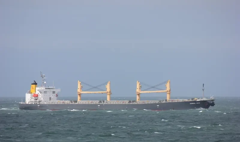 CORAL ACE Bulk Carrier IMO 9176266 photo 5