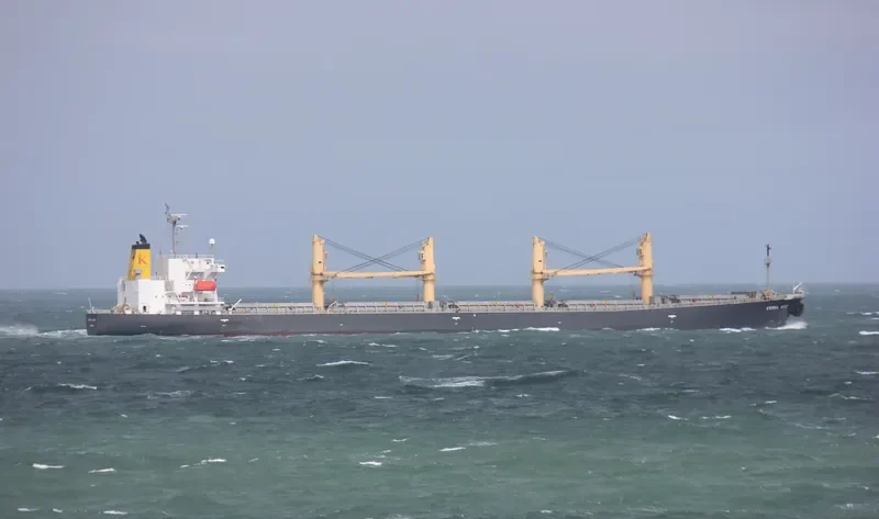 CORAL ACE Bulk Carrier IMO 9176266 photo 8