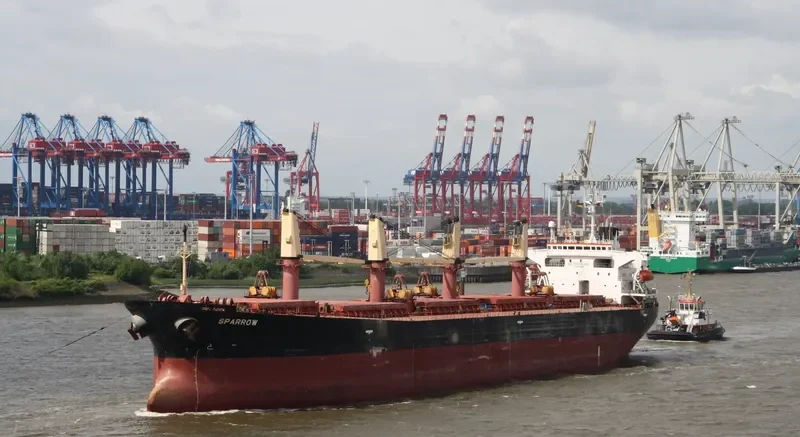 SPARROW Bulk Carrier IMO 9176278 photo 4