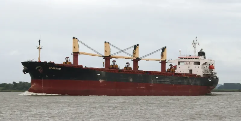 SPARROW Bulk Carrier IMO 9176278 photo 6