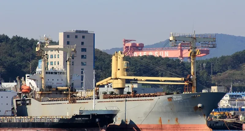 LILY OF SEA General Cargo IMO 9176383 photo 4
