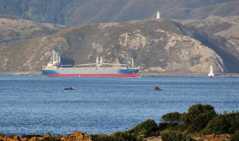 PACIFIC LOHAS General Cargo IMO 9176450 photo 3