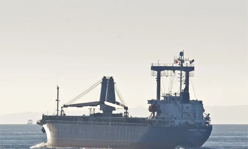PACIFIC LOHAS General Cargo IMO 9176450 photo 6