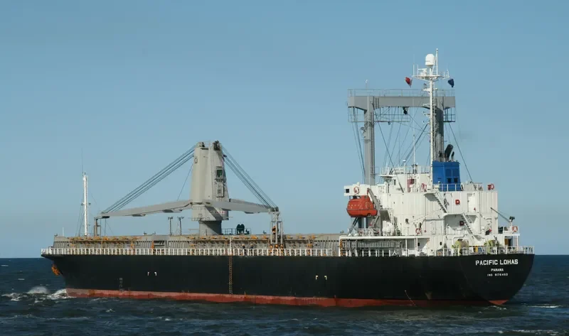 PACIFIC LOHAS General Cargo IMO 9176450 photo 8