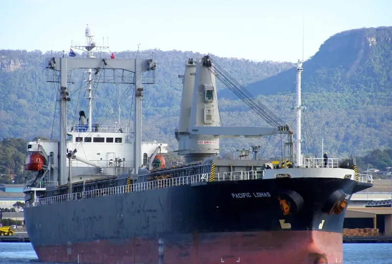 PACIFIC LOHAS General Cargo IMO 9176450 photo 10
