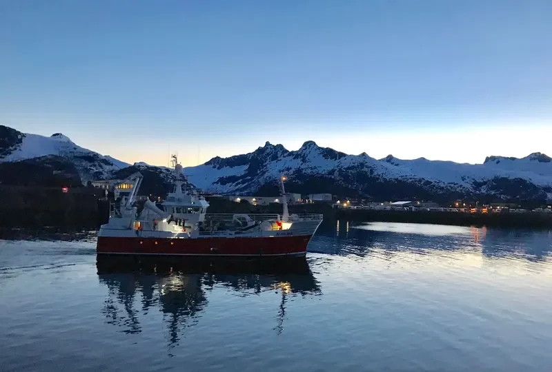 ROWENTA General Cargo IMO 9176539