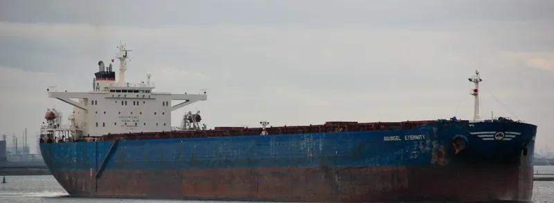 ANANGEL ETERNITY Bulk Carrier IMO 9176644 photo 2