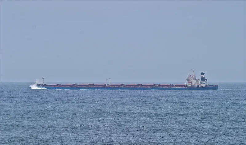 ANANGEL ETERNITY Bulk Carrier IMO 9176644 photo 6