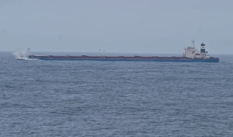 ANANGEL ETERNITY Bulk Carrier IMO 9176644 photo 9