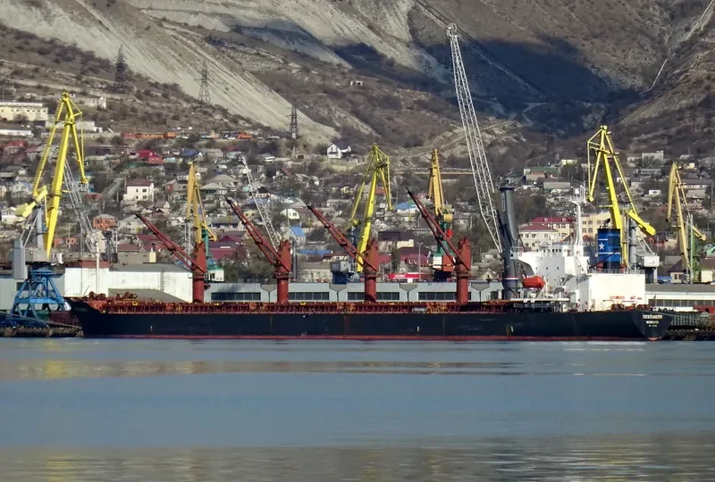 CHANG YAO HAI Bulk Carrier IMO 9176668