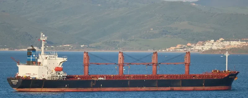 CHANG YAO HAI Bulk Carrier IMO 9176668 photo 7
