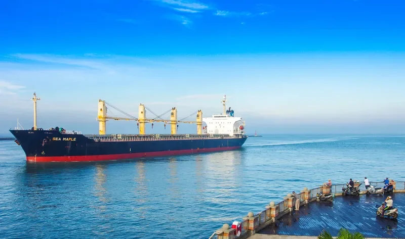 SEA MAPLE Bulk Carrier IMO 9176670