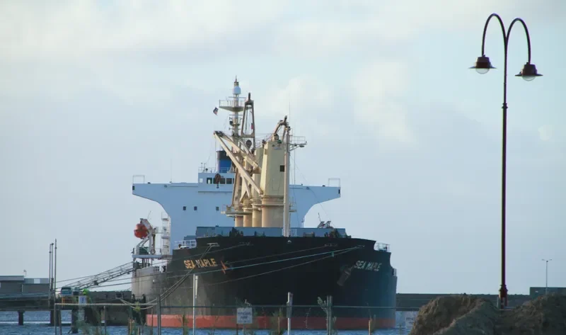 SEA MAPLE Bulk Carrier IMO 9176670 photo 3