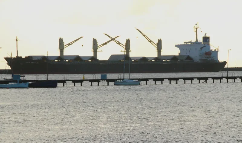 SEA MAPLE Bulk Carrier IMO 9176670 photo 4