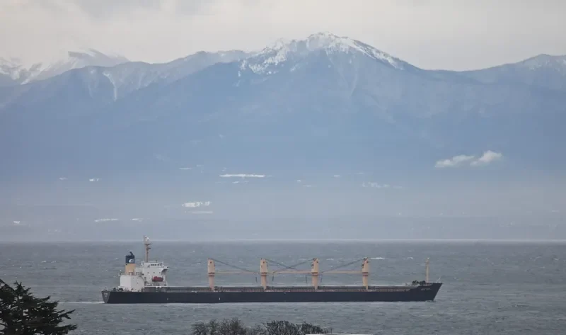 SEA MAPLE Bulk Carrier IMO 9176670 photo 10