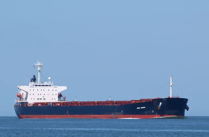 WEI QIN Bulk Carrier IMO 9176711 photo 4