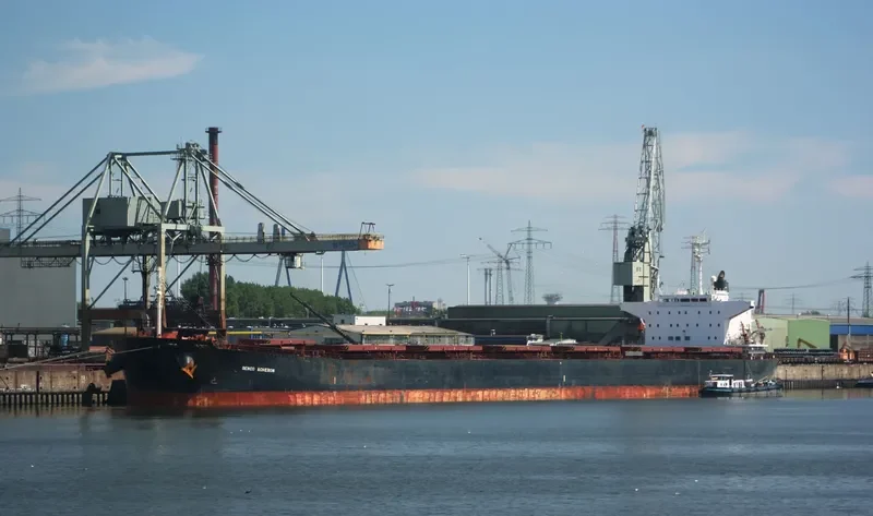 WEI QIN Bulk Carrier IMO 9176711 photo 7