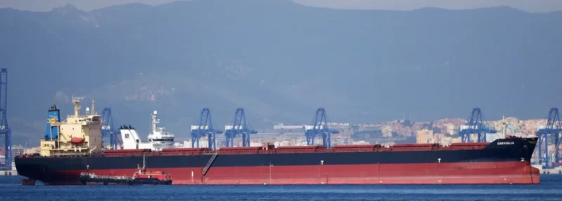 OCEANIC GODNESS Bulk Carrier IMO 9176747 photo 3