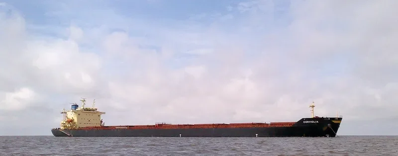 OCEANIC GODNESS Bulk Carrier IMO 9176747 photo 5